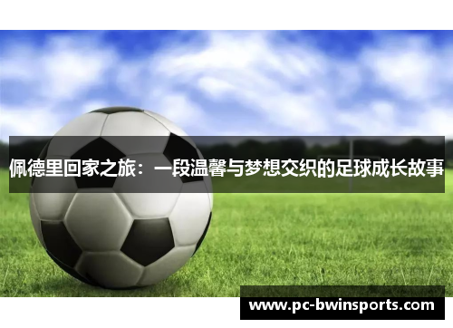 佩德里回家之旅：一段温馨与梦想交织的足球成长故事