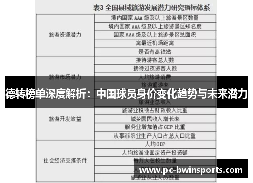 德转榜单深度解析：中国球员身价变化趋势与未来潜力