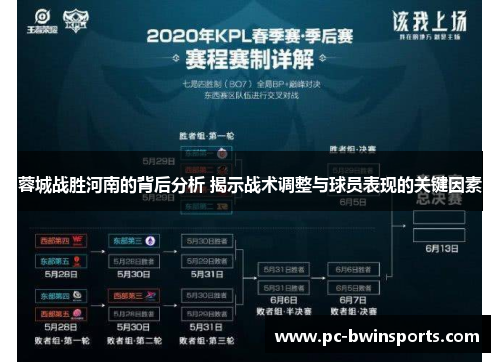 蓉城战胜河南的背后分析 揭示战术调整与球员表现的关键因素